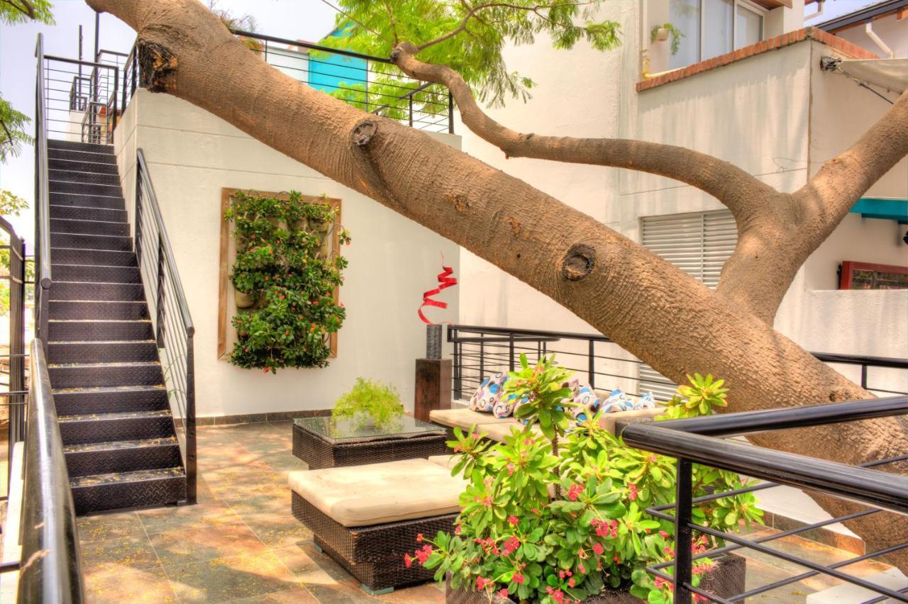 Casa De Leda, A Kali Santa Marta (Magdalena)